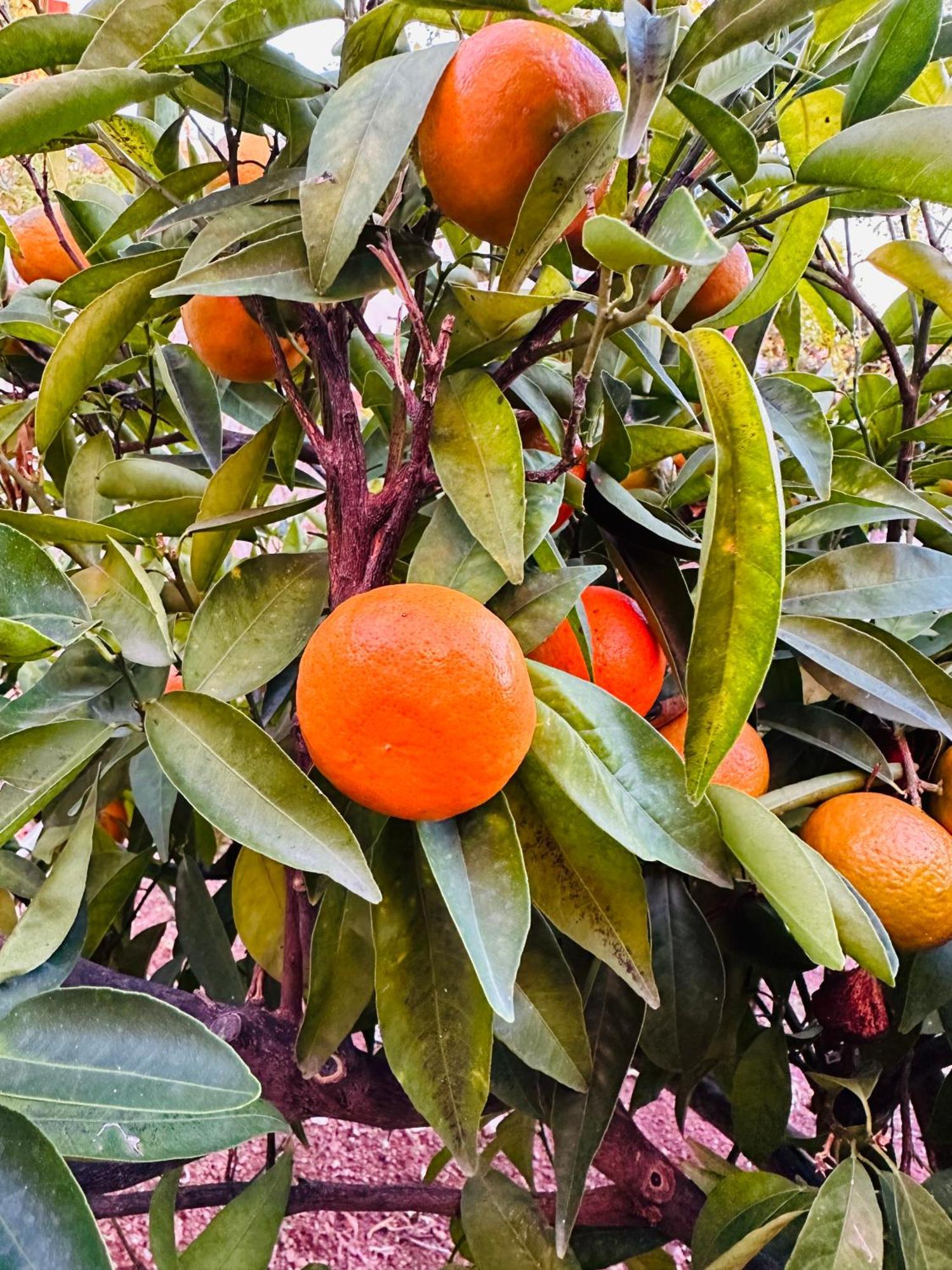Gelidonya Pansiyon Kumluca Exterior foto